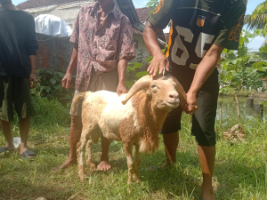 Tani Merdeka Ciamis Terima Bantuan Hewan Kurban, KH Aos Abdul Azis Sampaikan Terima Kasih