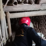 Ular Sanca Masuk Kandang, Warga Ciamis Resah Ayam Dimangsa