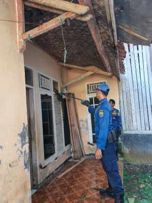 Damkar Kawali Evakuasi Biawak dari Dapur Rumah Warga