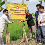 Mahasiswa KKN Universitas Siliwangi Awali Program Rumah Burung Hantu untuk Kendalikan Hama Tikus di Pagerageung