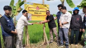 Mahasiswa KKN Universitas Siliwangi Awali Program Rumah Burung Hantu untuk Kendalikan Hama Tikus di Pagerageung