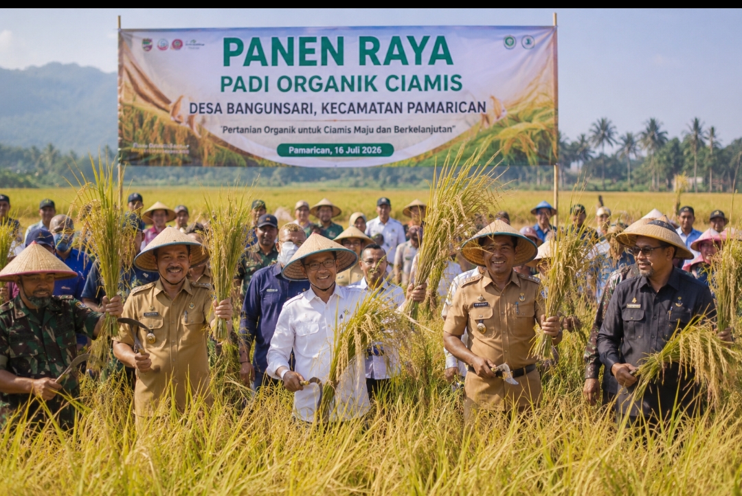 Panen Raya Padi Organik Pamarican, Sekda Ciamis Tegaskan Pertanian Sehat Investasi Masa Depan